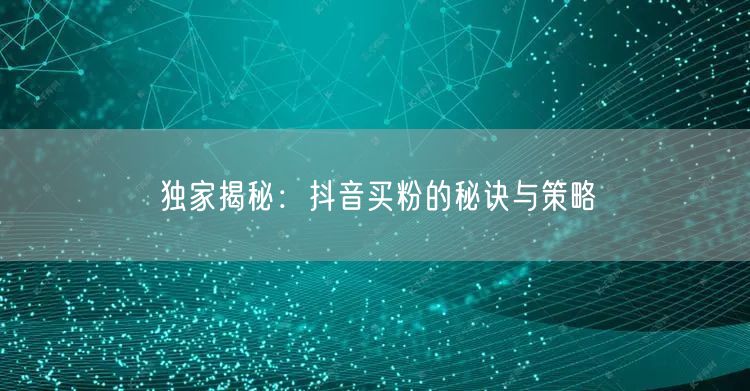 独家揭秘：抖音买粉的秘诀与策略