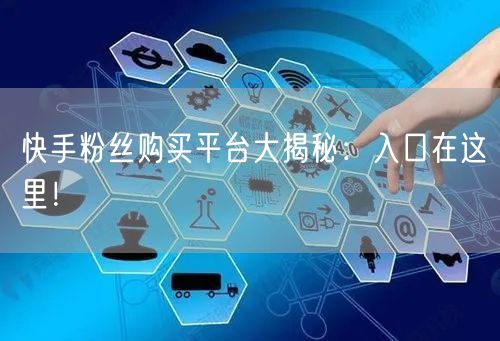 快手粉丝购买平台大揭秘：入口在这里！