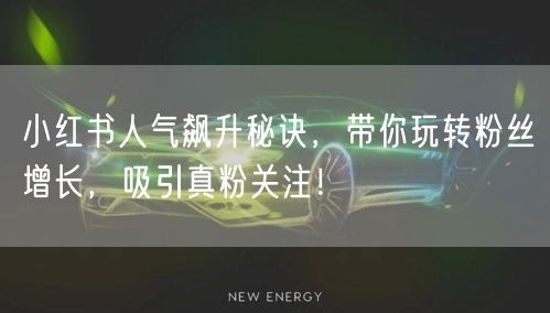 小红书人气飙升秘诀，带你玩转粉丝增长，吸引真粉关注！