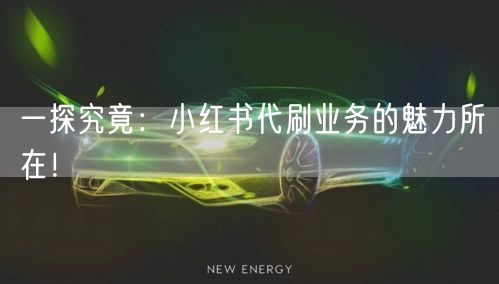 一探究竟：小红书代刷业务的魅力所在！