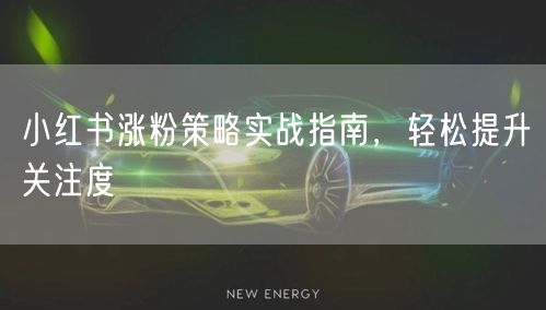 小红书涨粉策略实战指南，轻松提升关注度