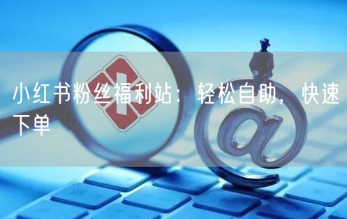 小红书粉丝福利站：轻松自助，快速下单