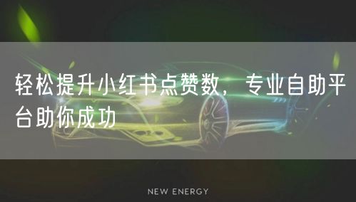 轻松提升小红书点赞数,专业自助平台助你成功