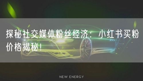 探秘社交媒体粉丝经济：小红书买粉价格揭秘！