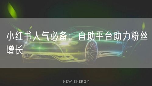 小红书人气必备：自助平台助力粉丝增长