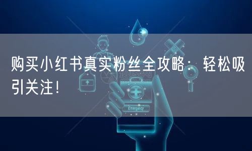 购买小红书真实粉丝全攻略：轻松吸引关注！