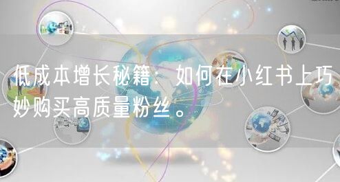 低成本增长秘籍:如何在小红书上巧妙购买高质量粉丝。