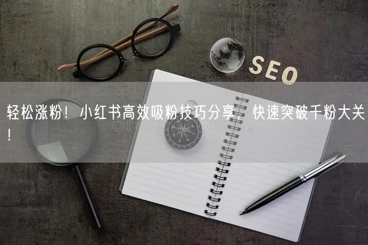 轻松涨粉！小红书高效吸粉技巧分享，快速突破千粉大关！