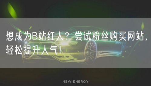 想成为B站红人？尝试粉丝购买网站，轻松提升人气！