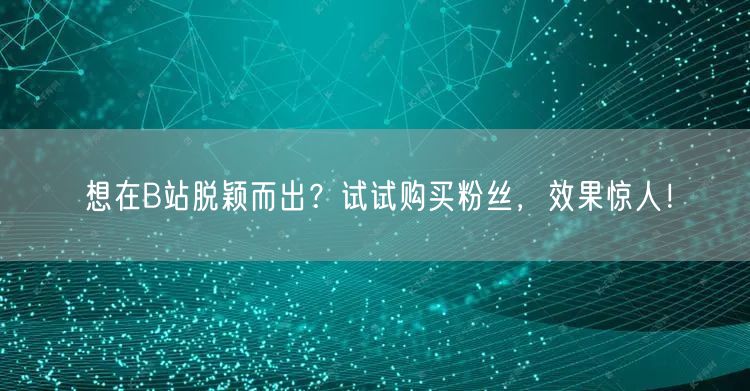 想在B站脱颖而出？试试购买粉丝，效果惊人！