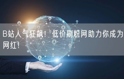 B站人气狂飙！低价刷粉网助力你成为网红！