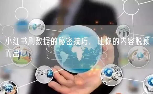 小红书刷数据的秘密技巧，让你的内容脱颖而出！