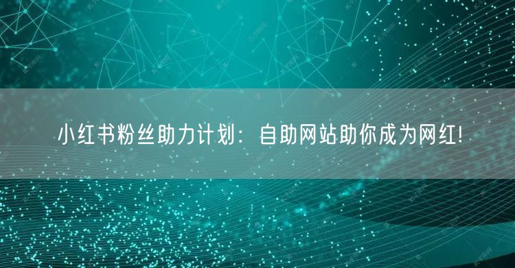 小红书粉丝助力计划：自助网站助你成为网红!