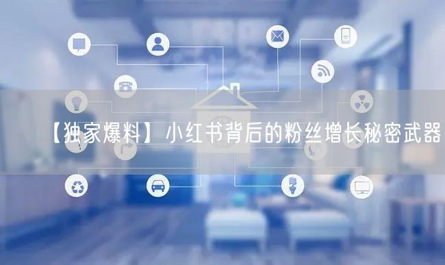 【独家爆料】小红书背后的粉丝增长秘密武器！