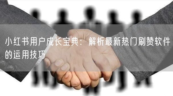 小红书用户成长宝典:解析最新热门刷赞软件的运用技巧