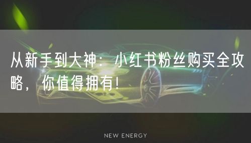 从新手到大神：小红书粉丝购买全攻略，你值得拥有！