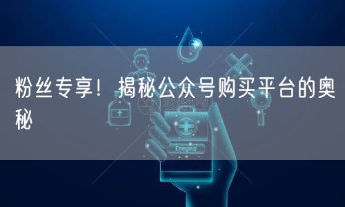 粉丝专享！揭秘公众号购买平台的奥秘