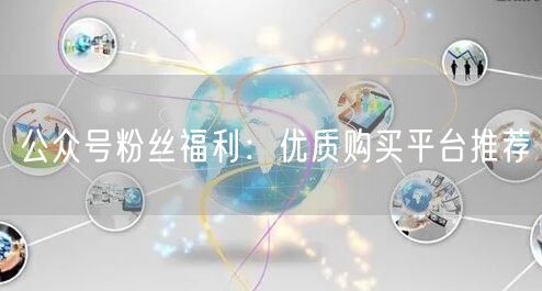 公众号粉丝福利：优质购买平台推荐