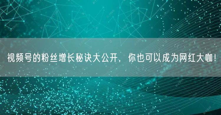 视频号的粉丝增长秘诀大公开，你也可以成为网红大咖！