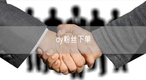 dy粉丝下单