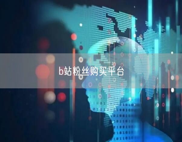 b站粉丝购买平台