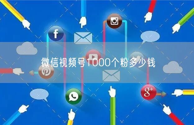 微信视频号1000个粉多少钱