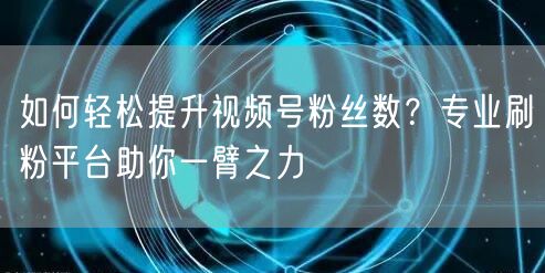 如何轻松提升视频号粉丝数？专业刷粉平台助你一臂之力