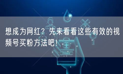 想成为网红？先来看看这些有效的视频号买粉方法吧！