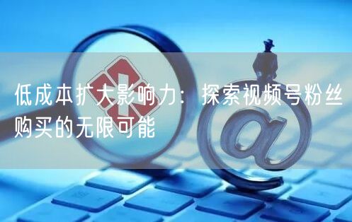 低成本扩大影响力：探索视频号粉丝购买的无限可能