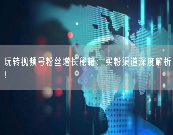 玩转视频号粉丝增长秘籍：买粉渠道深度解析！