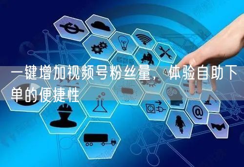 一键增加视频号粉丝量，体验自助下单的便捷性