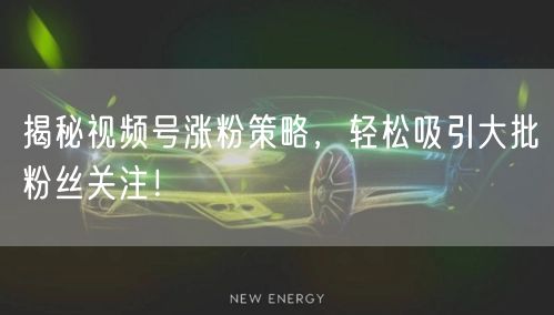 揭秘视频号涨粉策略，轻松吸引大批粉丝关注！