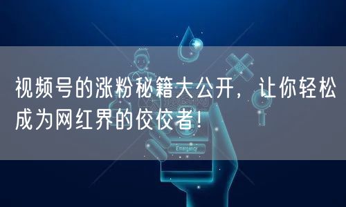 视频号的涨粉秘籍大公开，让你轻松成为网红界的佼佼者！