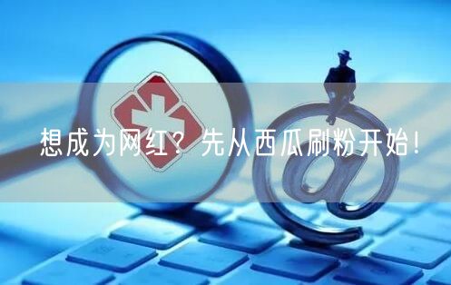 想成为网红？先从西瓜刷粉开始！