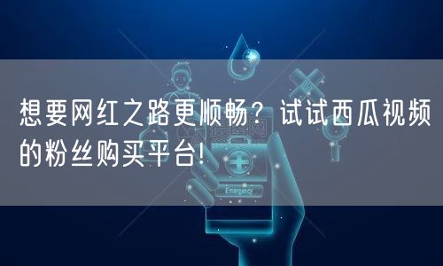 想要网红之路更顺畅？试试西瓜视频的粉丝购买平台!