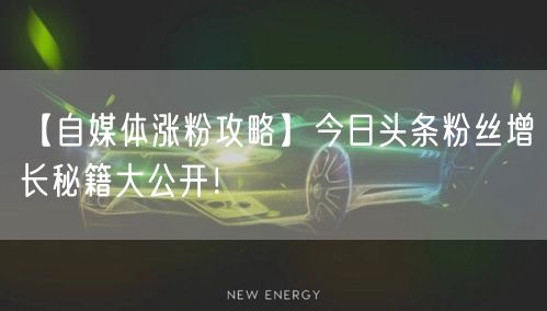 【自媒体涨粉攻略】今日头条粉丝增长秘籍大公开！