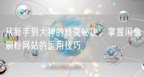 从新手到大神的转变秘诀：掌握闲鱼刷粉网站的运用技巧