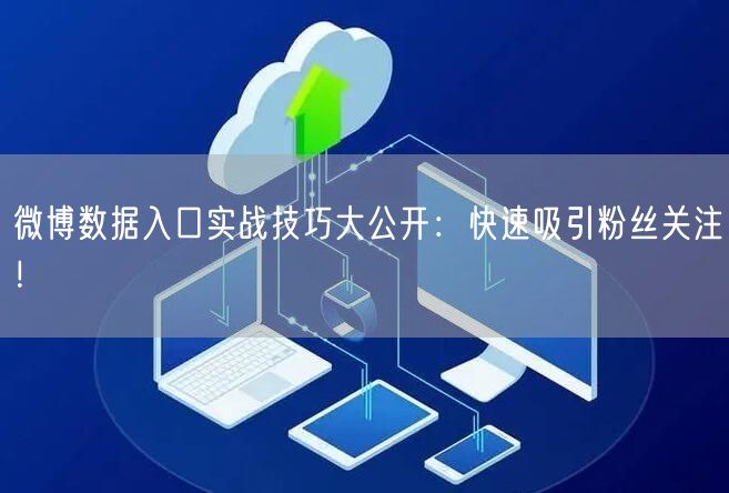 微博数据入口实战技巧大公开：快速吸引粉丝关注！