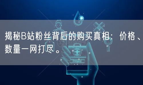 揭秘B站粉丝背后的购买真相：价格、数量一网打尽。