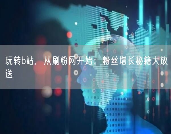 玩转b站，从刷粉网开始：粉丝增长秘籍大放送