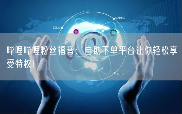 哔哩哔哩粉丝福音：自助下单平台让你轻松享受特权！