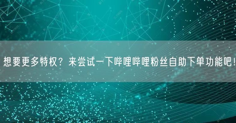 想要更多特权？来尝试一下哔哩哔哩粉丝自助下单功能吧！