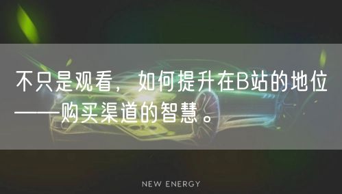 不只是观看，如何提升在B站的地位——购买渠道的智慧。
