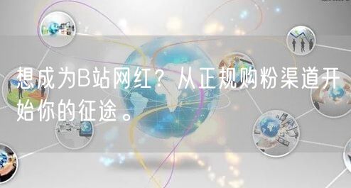 想成为B站网红？从正规购粉渠道开始你的征途。