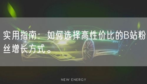 实用指南:如何选择高性价比的B站粉丝增长方式。