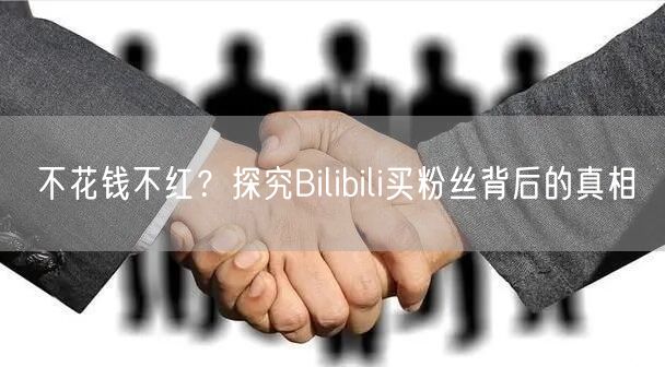 不花钱不红？探究Bilibili买粉丝背后的真相