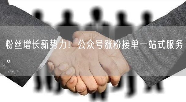 粉丝增长新势力！公众号涨粉接单一站式服务。