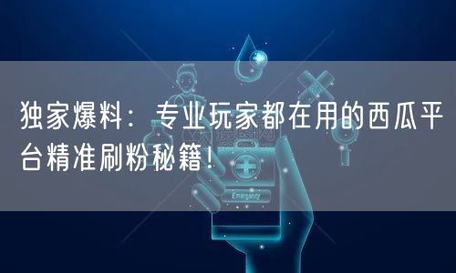 独家爆料:专业玩家都在用的西瓜平台精准刷粉秘籍!