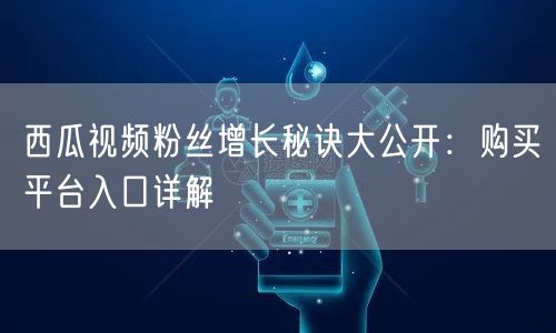 西瓜视频粉丝增长秘诀大公开：购买平台入口详解