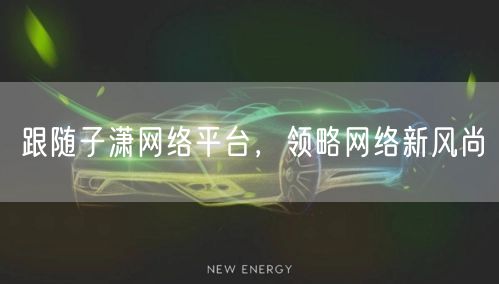 跟随子潇网络平台，领略网络新风尚